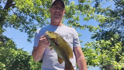 Bass, Pike & Trout (6 Hour) - Michigan River Fishing Charters